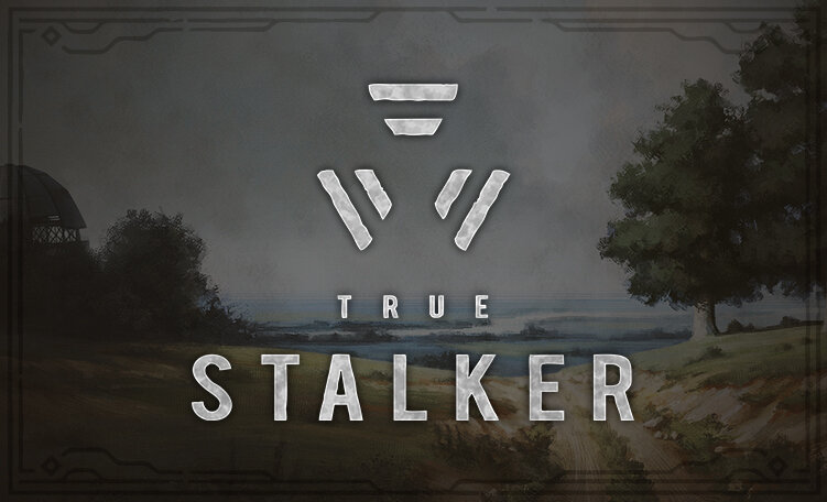 Сталкер True Stalker (2023)